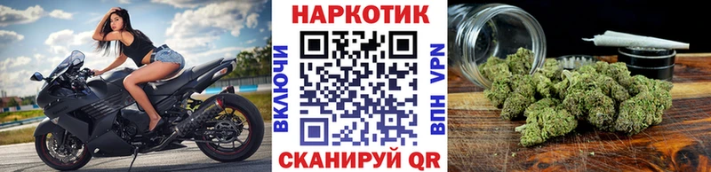 А ПВП Выборг