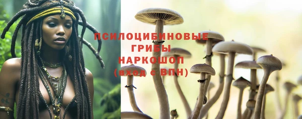 МДПВ Верхний Тагил