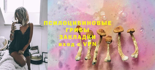 МДПВ Верхний Тагил