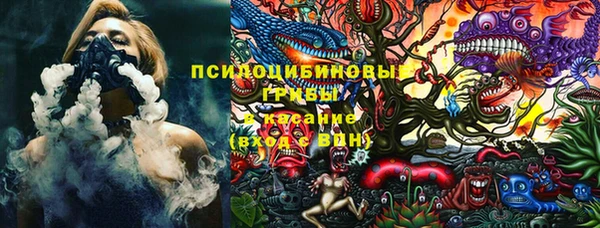 МДПВ Верхний Тагил