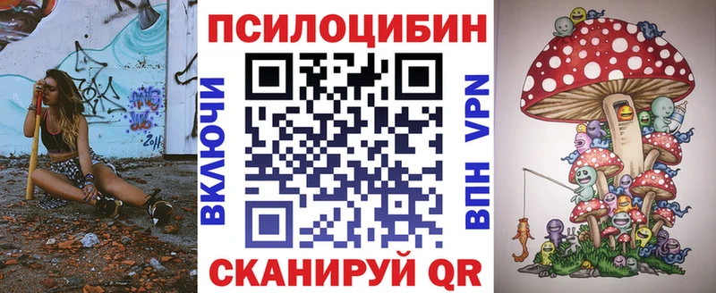 Псилоцибиновые грибы мицелий MEGA сайт Выборг