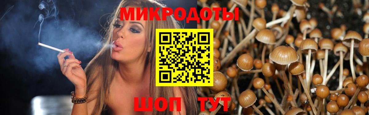 Выборг  Псилоцибиновые грибы GOLDEN TEACHER  Галлюциногенные грибы GOLDEN TEACHER  Вход с VPN 